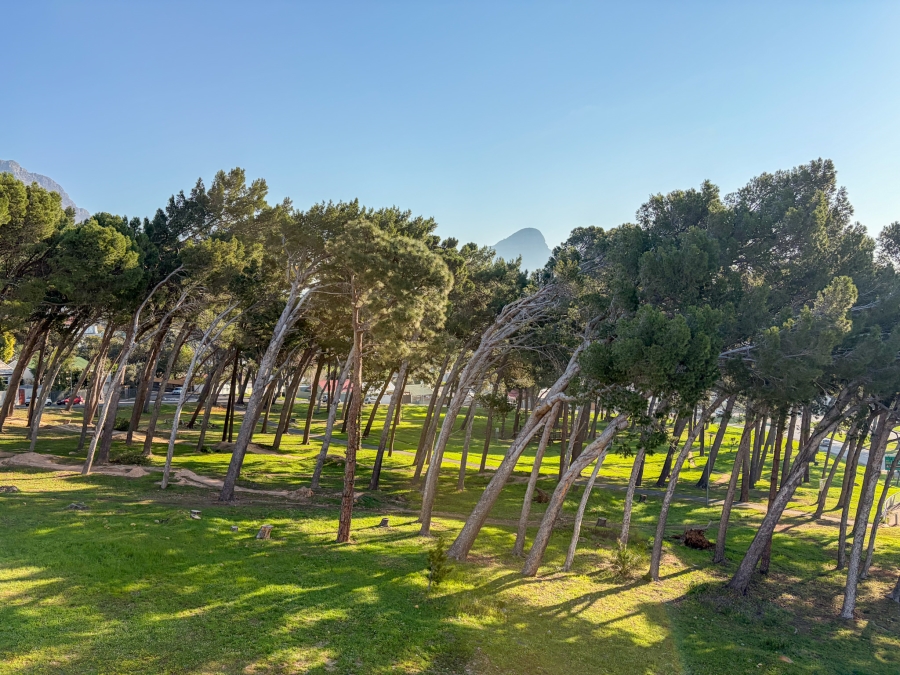 1 Bedroom Property for Sale in Vredehoek Western Cape
